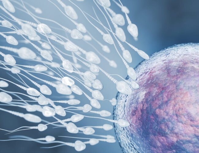 Síntomas de implantación del óvulo: consejos para personas de  Guatemala