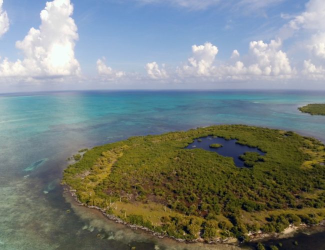 Banco Chinchorro: Zonas Marinas Protegidas